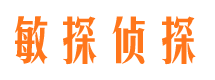 北湖侦探公司